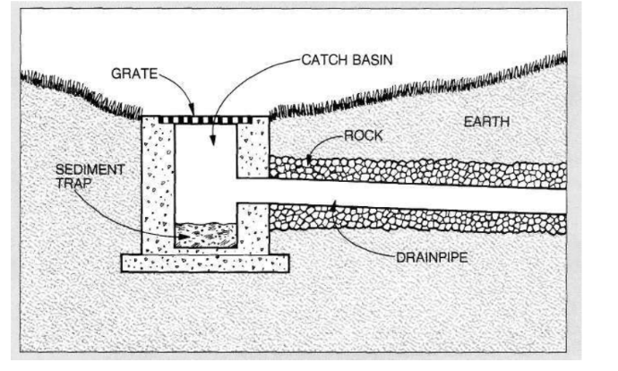 Solving Drainage Problems: Guide to Managing Water in Your Landscape